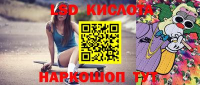 крисы Ирбит
