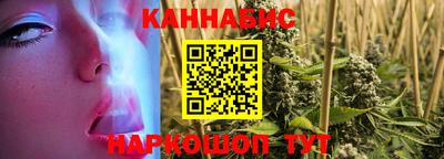 крисы Ирбит